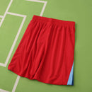 PANTALONES CORTOS BARCELONA IV 25/26