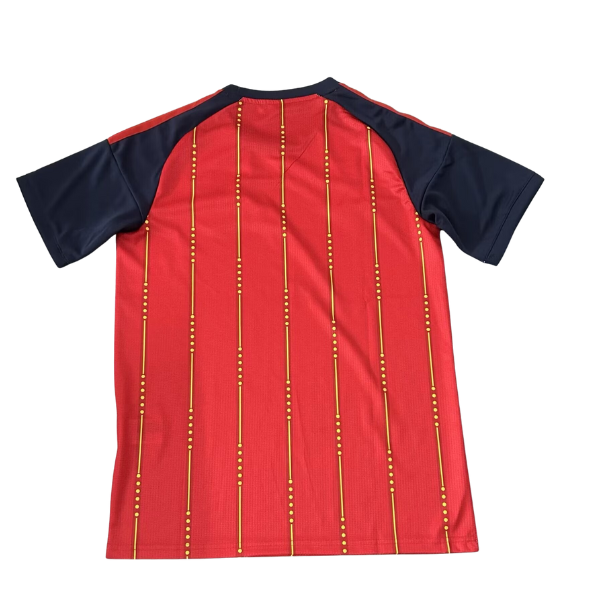 CAMISETA ESPAÑA EDICIÓN ESPECIAL III 25/26 HOMBRE