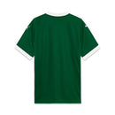 CAMISETA PALMEIRAS I 25/26 HOMBRE