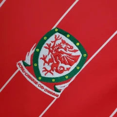 CAMISETA WALES I 15/16 HOMBRE (RETRO)