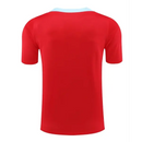CAMISETA BARCELONA EDICIÓN LIMITADA VI HOMBRE 25/26