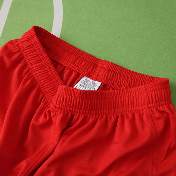 PANTALONES CORTOS PSG III 24/25