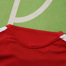 CAMISETA ALEMANIA ENTRENAMIENTO ROJA 25/26 HOMBRE
