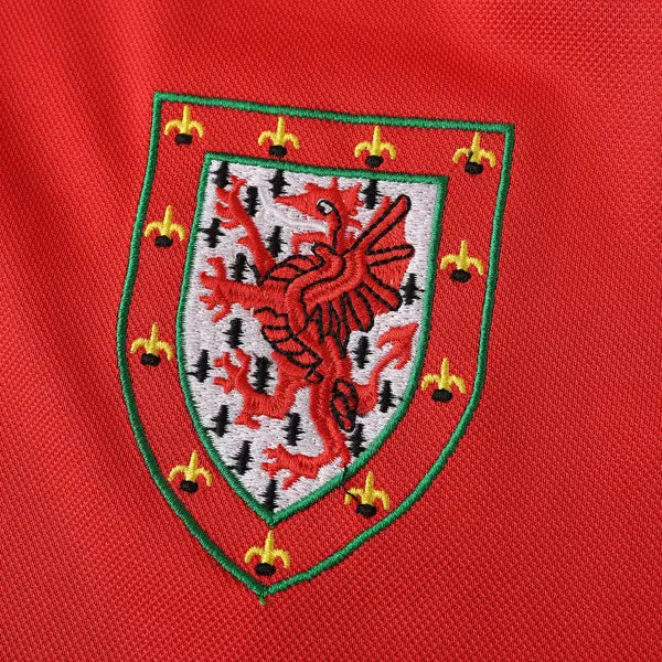 PAÍS DE GALES I 1982 HOMBRE (RETRO)