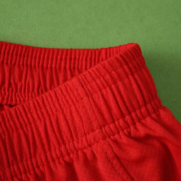 PANTALONES CORTOS PSG III 24/25