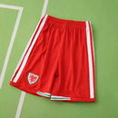 CAMISETA PAIS DE GALES I MUNDIAL 2026 ROJA EQUIPACIÓN PARA NIÑOS