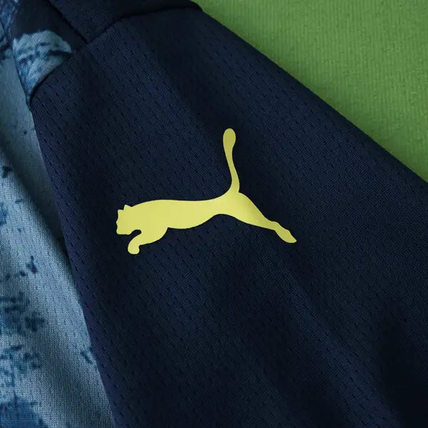 FENERBAHÇE NEGRA EDICIÓN LIMITADA 25/26 HOMBRE