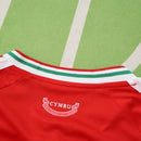 CAMISETA PAIS DE GALES I MUNDIAL 2026 ROJA EQUIPACIÓN PARA NIÑOS